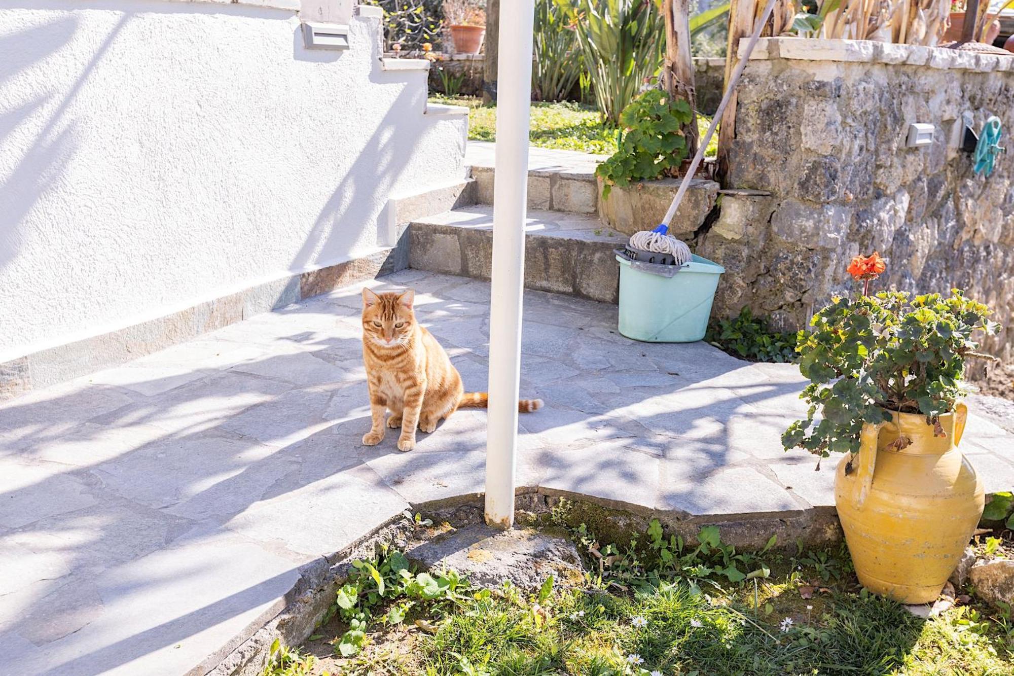 Ad Homes Agios Gordios  Ngoại thất bức ảnh